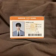 &TEAM ニコラス トレカ