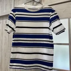 Cruciani ストライプ Tシャツ サイズ50