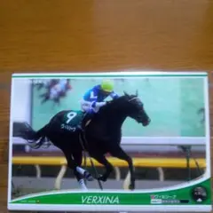 競馬 ヴィルシーナ