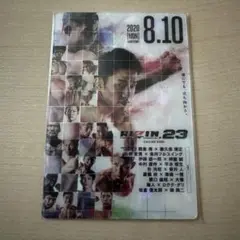 RIZIN ポテトスティック　No.09