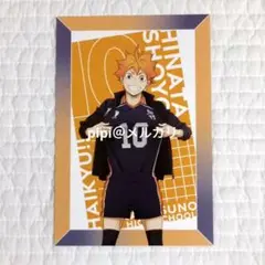 ハイキュー 10周年記念展 全感覚EXHIBITION 日向翔陽 ポストカード