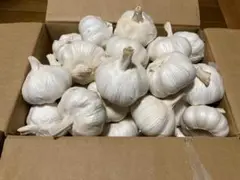 1kg 三重県産 嘉定種 令和4年度産 ニンニク 中球 にんにく