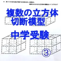 ゆゆ　立体の切断模型 ①②③④⑤⑥⑦⑧⑨⑩セット ゆゆ 立体の切断模型 ①②③④⑤⑥⑦⑧⑨⑩セット 立体の切断