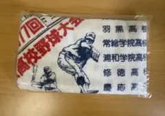 第77回選抜高校野球 応援タオル