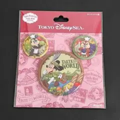 ディズニー ミッキー チップ デール 缶バッチ