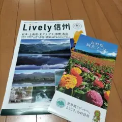長野県　フリーペーパー　観光マップ