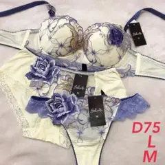 ワコール サルート 92G ブラジャー ショーツP-UPタイプ D75 L M