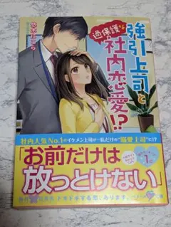 強引上司と過保護な社内恋愛!?