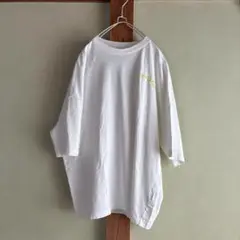 ZARA Tシャツ バックプリント 刺繍 ビックシルエット