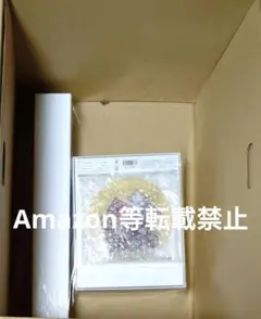あみあみ限定特典付き Nintendo Switch ホロの花札 特装版