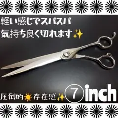 Item thumbnail for item 761df9fd-d821-4f65-ac54-8b3551f6a91a