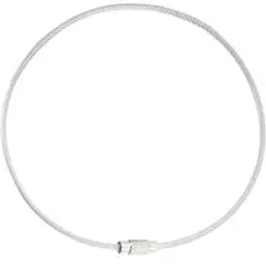 Item thumbnail for item 4412d2d9-bbae-4b7d-acb2-9155604d13da
