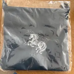 Item thumbnail for item 186b2476-ca53-4971-b5ad-0e79a5d5c9d0