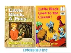 Item thumbnail for item 536e8997-fd05-420f-a243-4179ef20f9e0