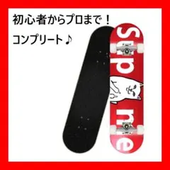 スケートボード 31インチ スケボー ABEC9ベアリング採用 くま