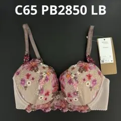 C65 PB2850 LBワコール　ウイング　レシアージュ