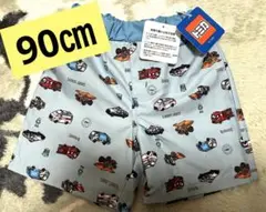 Item thumbnail for item c3717a46-5400-4bb7-851b-602ba26c01ec