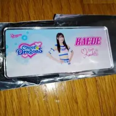 中日ドラゴンズ　チアドラ　シークレットアクリルキーホルダー　KAEDE ②
