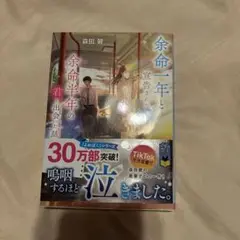 余命一年と宣告された僕が余命半年の君と出会った話