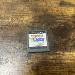 DS ニンテンドー　牧場物語　風のバザール