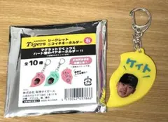 阪神タイガース　シークレットニコイチキーホルダー 門別啓人投手