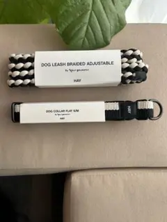 Item thumbnail for item e2f25666-1203-46d5-851f-bacc76f2abde