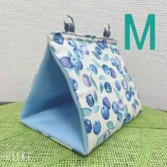 Item thumbnail for item ad2103bd-60ca-45f9-8664-c8b3b3bf613b
