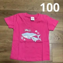 新品　沖縄限定　Tシャツ　ピンク 100