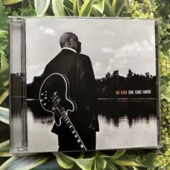 B.B.King (one kind favor)