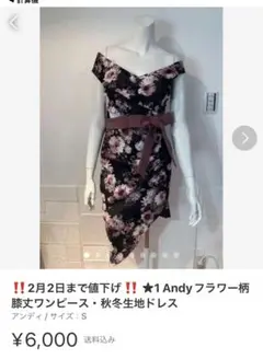 ‼️23日まで値下げ‼️ anドレス・夏色レース花柄シースルーワンピース