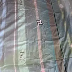 フラットシーツ　250*250