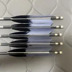 弓道　矢　Easton AX75 アルミ矢 5本セット