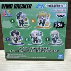 WIND BREAKER 梅宮一 きゅるぽっぷん