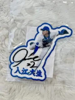 ベイスターズ　入江大生　選手　昇華ワッペン