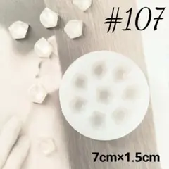 シリコンモールド#107