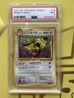 ピジョット 旧裏 PSA10 2025年最新】ピジョット 旧裏 psaの人気アイテム - メルカリ