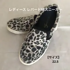 ☆彡超美品‼️レディース ヒョウ柄 スニーカー