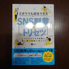 ズボラでも成功できる SNS副業のトリセツ