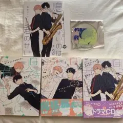 息できないのは君のせい 3巻セット 特典付き