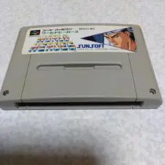 スーパーファミコンソフト、ワールドヒーローズ、動作確認済みです。