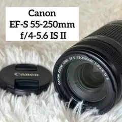 Item thumbnail for item 4b0b62d0-9d4a-4ef1-ab3a-fa6e9d27ef0e