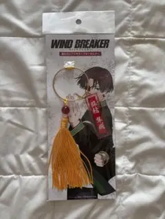 WINDBREAKER 蘇枋のピアスモチーフキーホルダー