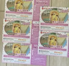 ※説明文必読　サマーランド 株主優待 春秋限定 5枚