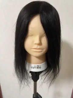 カットウィッグ　人毛ロング✨　 ⭐︎アシスタントさん向け⭐︎