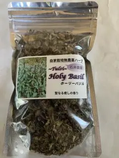 Item thumbnail for item 71ce1148-06d8-40d1-bd97-fc09ff0fc74d