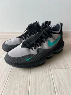 Nike Lebron 16 Low Atmos レブロン アトモス