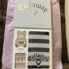 タオル、ベアネームタグ、ウッドティーセット