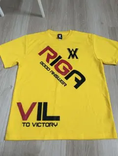 Item thumbnail for item 03f5e5a5-b7d9-4c3d-909b-95593f75be2f