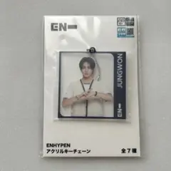 ENHYPEN ジョンウォン　アクリルキーチェーン　セガ