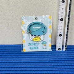 ポケモン クワッス　カラビナ w